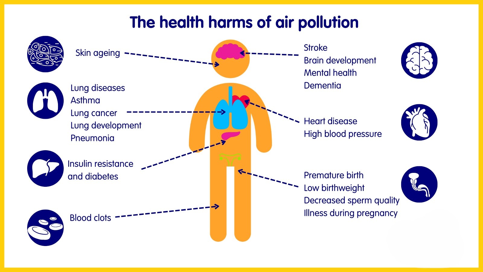 Health Effects Infographic